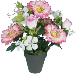 POT GERBERAS BOUTONS
