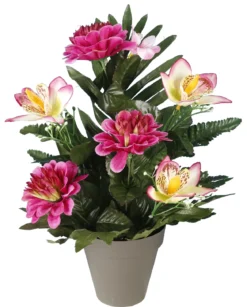 POT GERBE ZINNIAS ORCHIDEES
