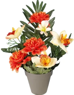 POT GERBE ZINNIAS ORCHIDEES