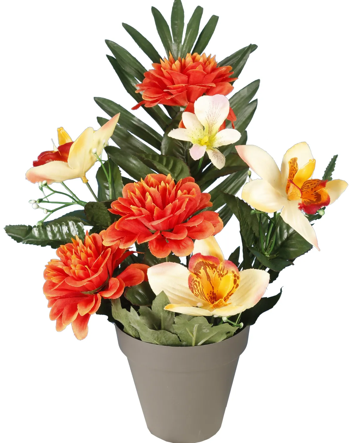 POT GERBE ZINNIAS ORCHIDEES
