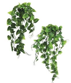 POTHOS ET PHILO RETOMBANTS POT PLASTIQUE NOIR H.70CM