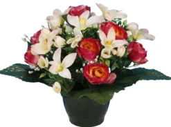 POT RENONCULES FLEURETTES