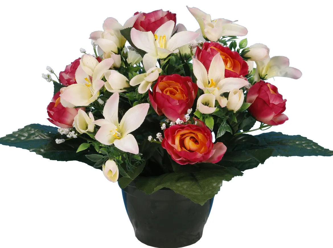 POT RENONCULES FLEURETTES