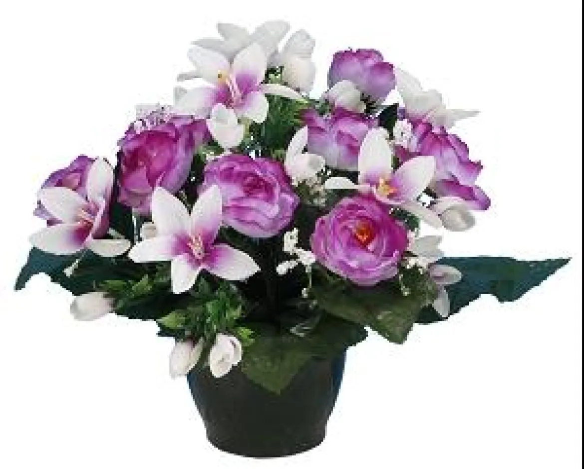 POT RENONCULES FLEURETTES