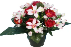 POT RENONCULES FLEURETTES