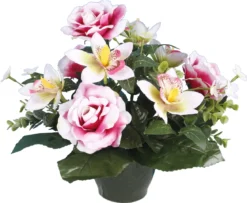 POT ROSES ORCHIDEES
