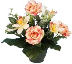 POT ROSES ORCHIDEES