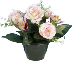 POT ROSES ORCHIDEES