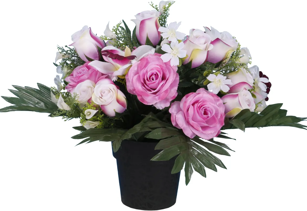 POT ROSETTE ORCHIDEE BOUTON ROSE