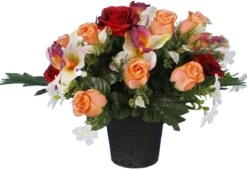 POT ROSETTE ORCHIDEE BOUTON ROSE