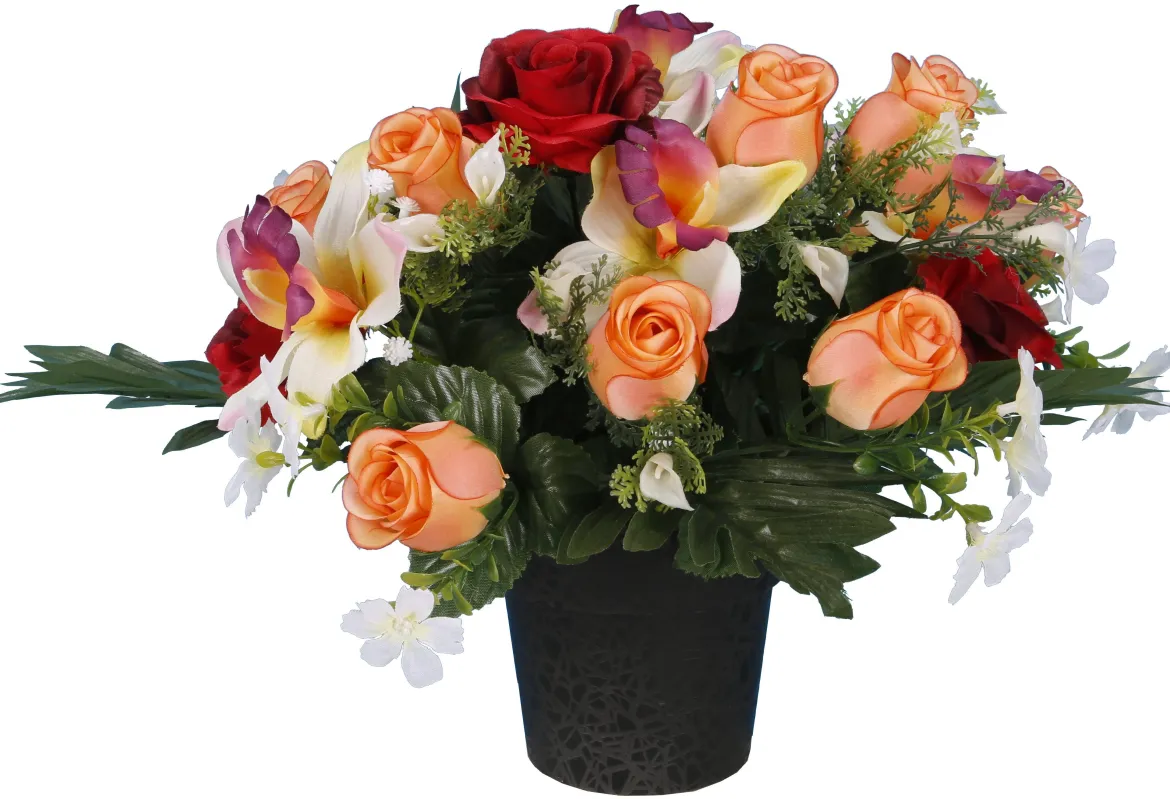 POT ROSETTE ORCHIDEE BOUTON ROSE
