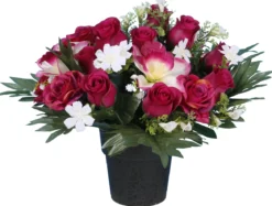 POT ROSETTE ORCHIDEE BOUTON ROSE