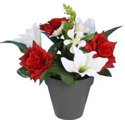 POT ROSETTES LILIUM