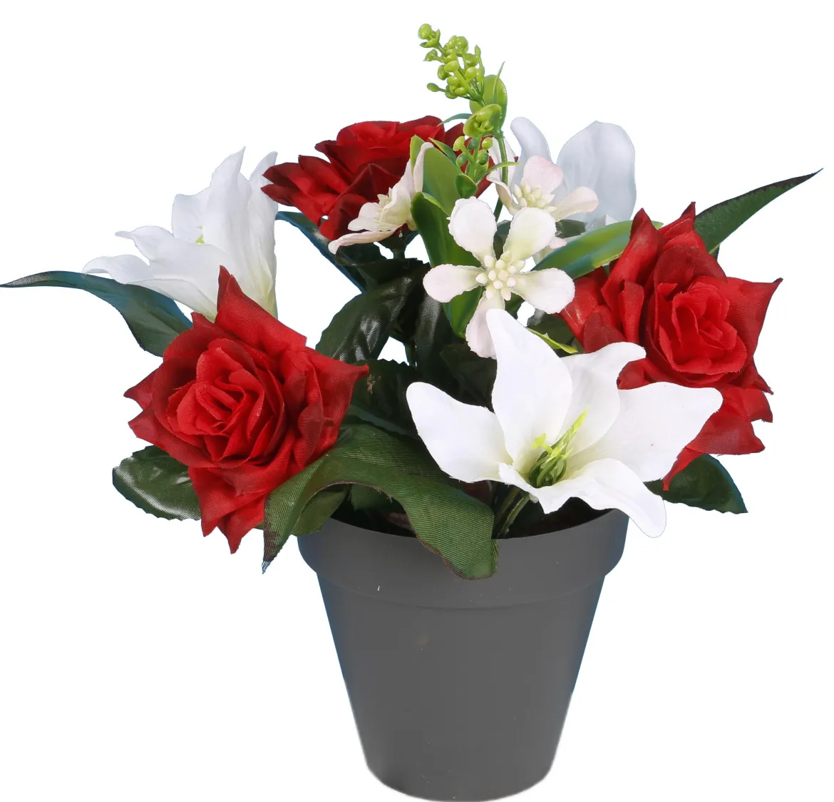 POT ROSETTES LILIUM