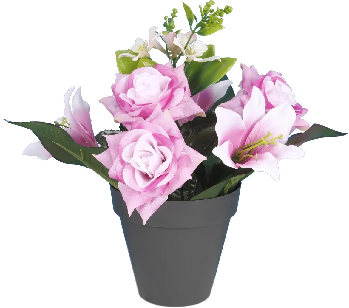 POT ROSETTES LILIUM