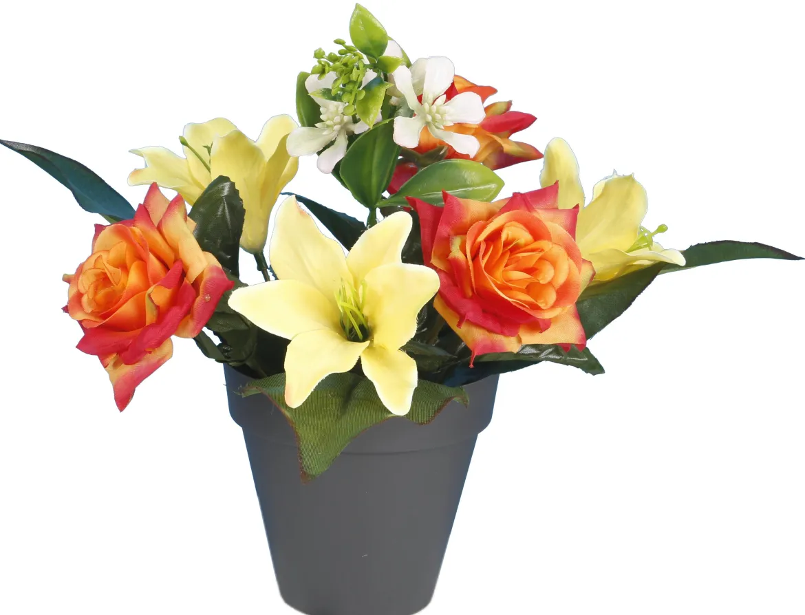 POT ROSETTES LILIUM
