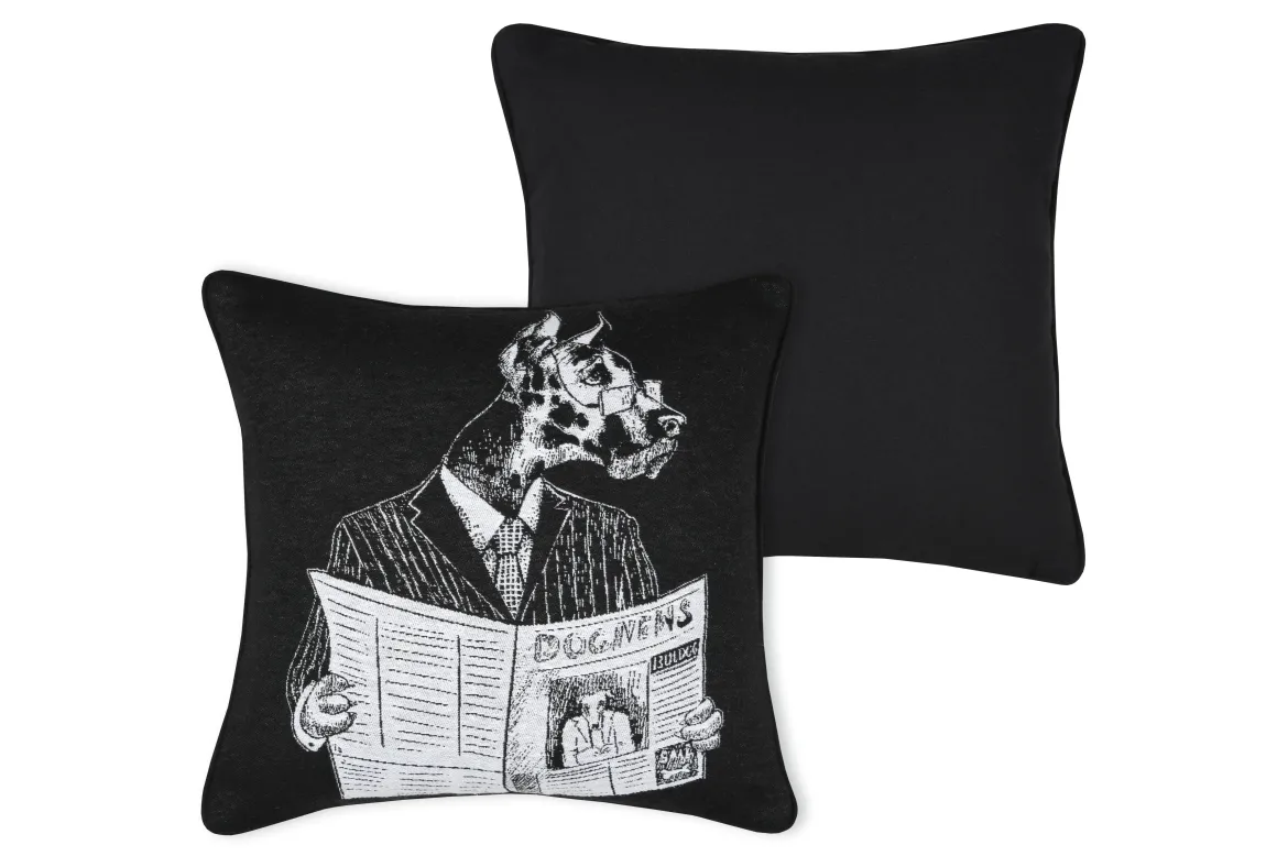 PRINCETON COUSSIN 40X40CM NOIR