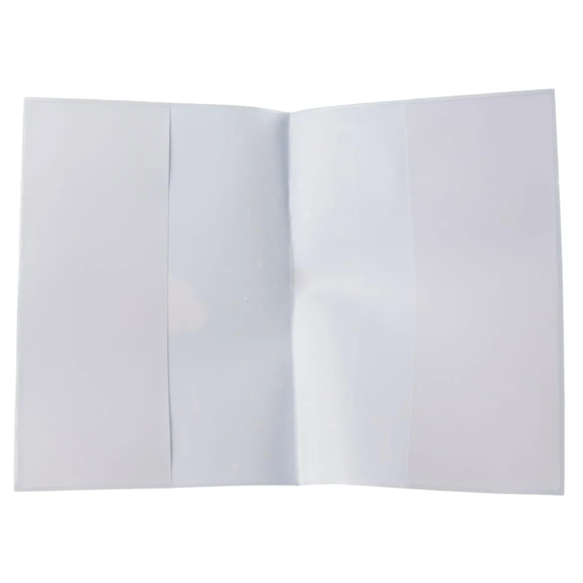 PROTEGE CARNET DE SANTE