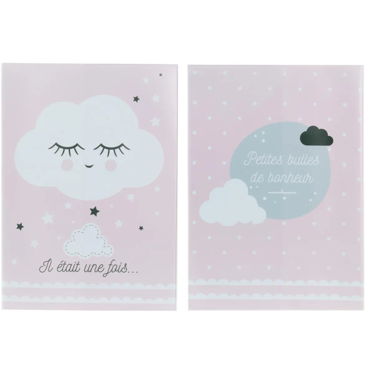 PROTEGE CARNET DE SANTE