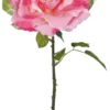 ROSE ROSEH.102CM