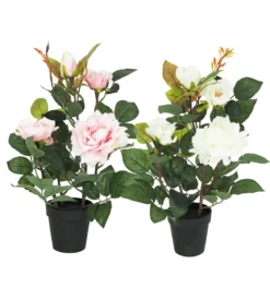 ROSIER EN POT PLASTIQUE H35CM ROSE ET BLANC
