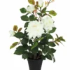 ROSIER 3 FLEURS 2 BOUTONS POT PLASTIQUE NOIR 13X11CM H.50CM