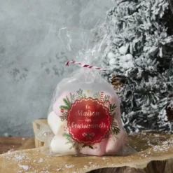 SACHET CONFISERIE NOEL X10