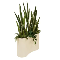 SANSEVIERIA POT CERAMIQUE STRIE SKY H.163CM