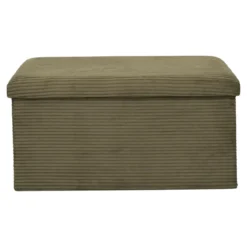 SCOTT COFFRE BANC PLIABLE COTELE VERT