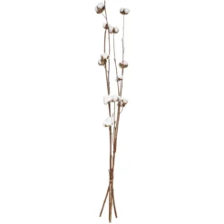 SECHE NATUREL H.100CM