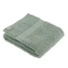 SERVIETTE INVITE 30X50CM COTON VERT EUCALYPTUS