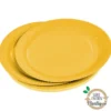 SET 20 ASSIETTES CARTON D.23CM VITAMINE JAUNE MOUTARDE
