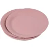SET 20 ASSIETTES RONDE CARTON D.23CM BLUSH