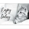 SET DE TABLE CHAT ENJOY TODAY 42X27.5X0.035CM