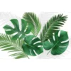 SET DE TABLE 28.5X44 CM POLYPROPYLENE OPAQUE CANOPEE