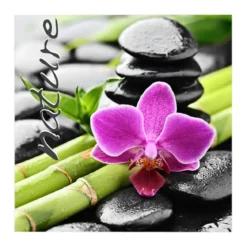 SET 20 SERVIETTES NATURE 33X33CM
