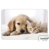 SET TABLE CHIEN