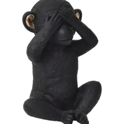 SINGE DE LA SAGESSE VUE NOIR OR