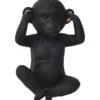 SINGE DE LA SAGESSE OUIE NOIR OR