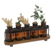 SOLIFLORES X5 VERRE BOIS CAFE BORDELAIS