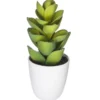 SUCCULENTE CACTUS H.18CM
