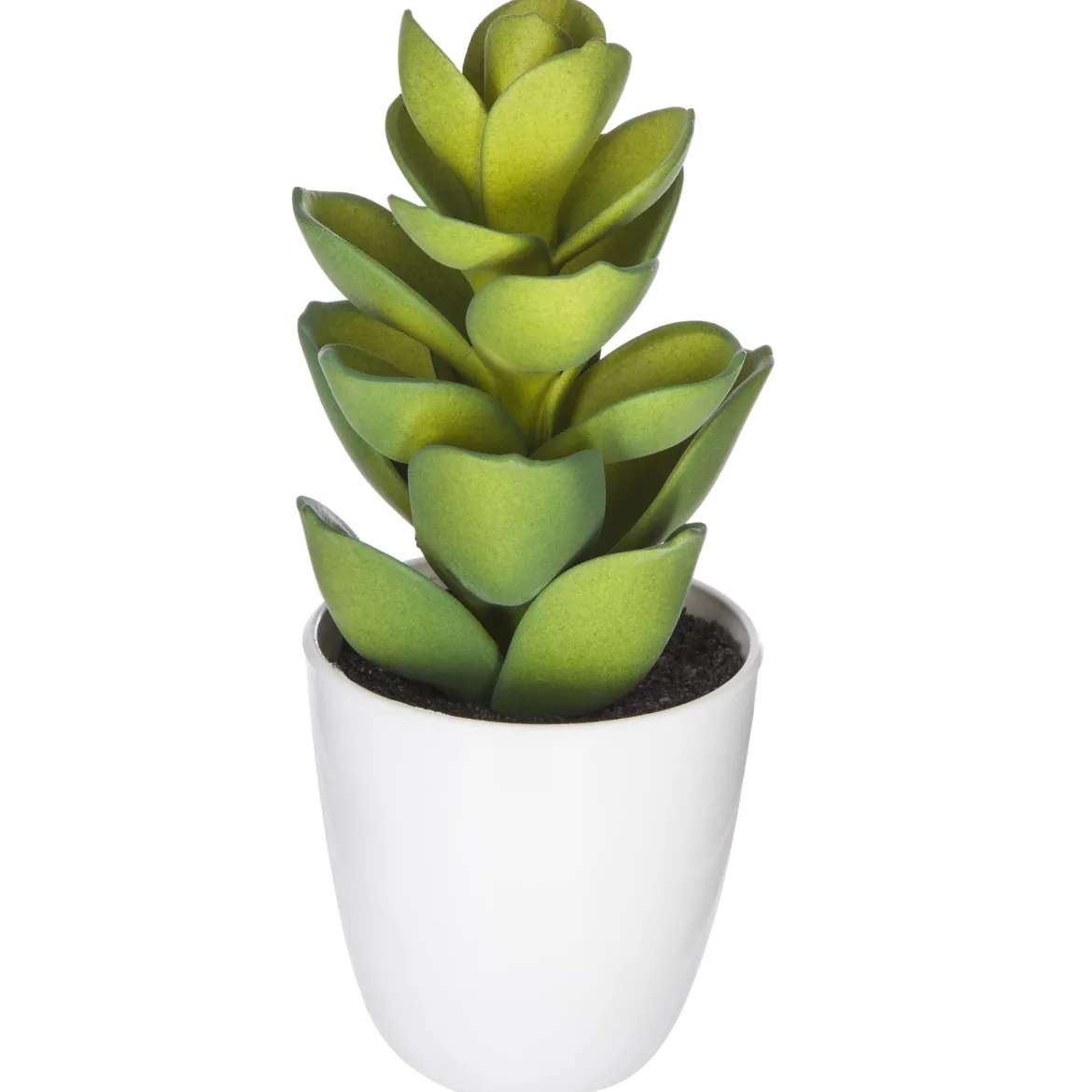 SUCCULENTE CACTUS H.18CM