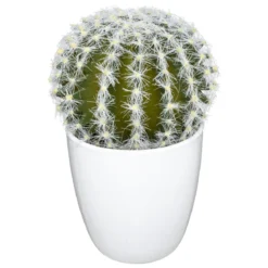 SUCCULENTE CACTUS H.18CM