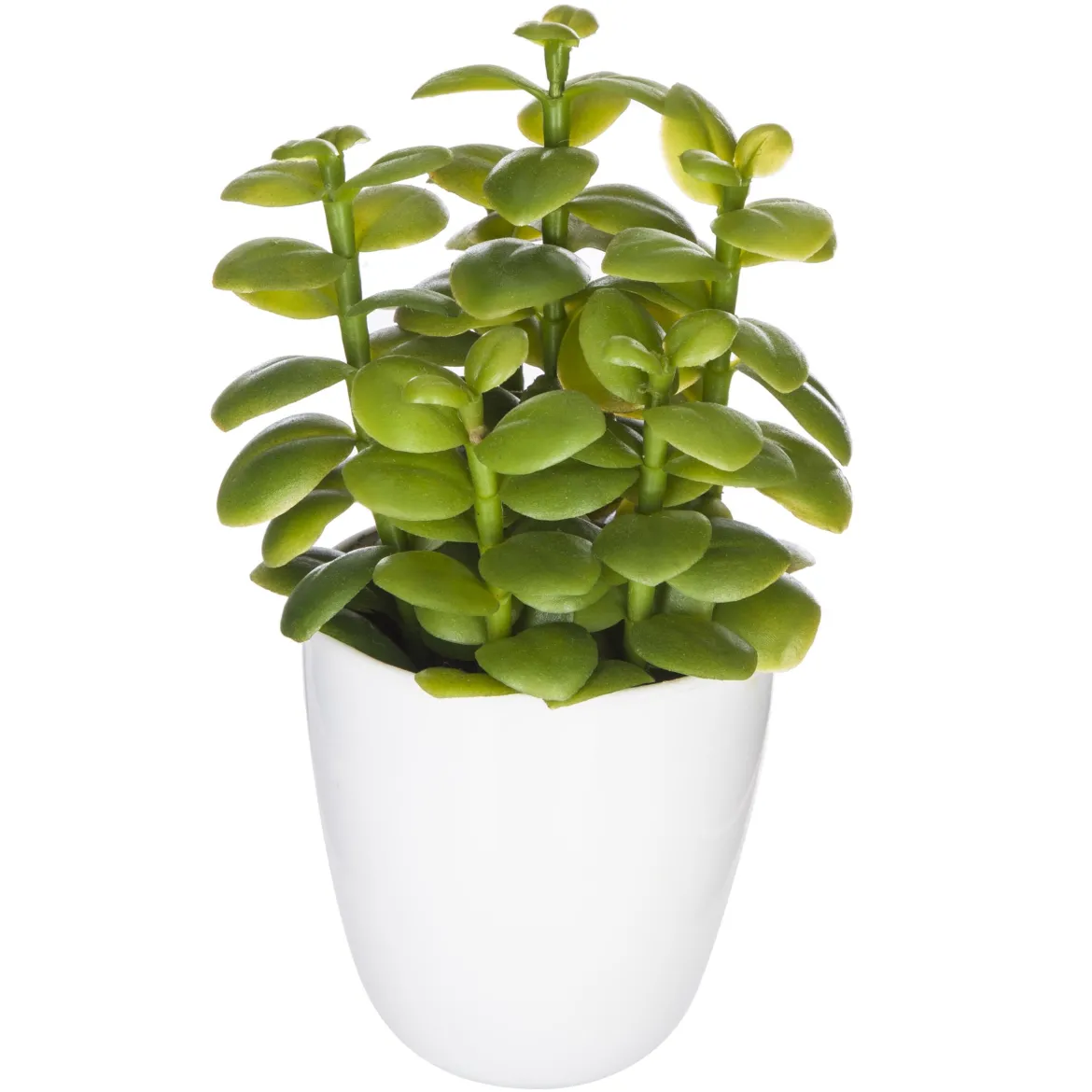 SUCCULENTE CACTUS H.18CM
