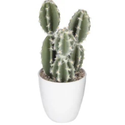 SUCCULENTE CACTUS H.18CM