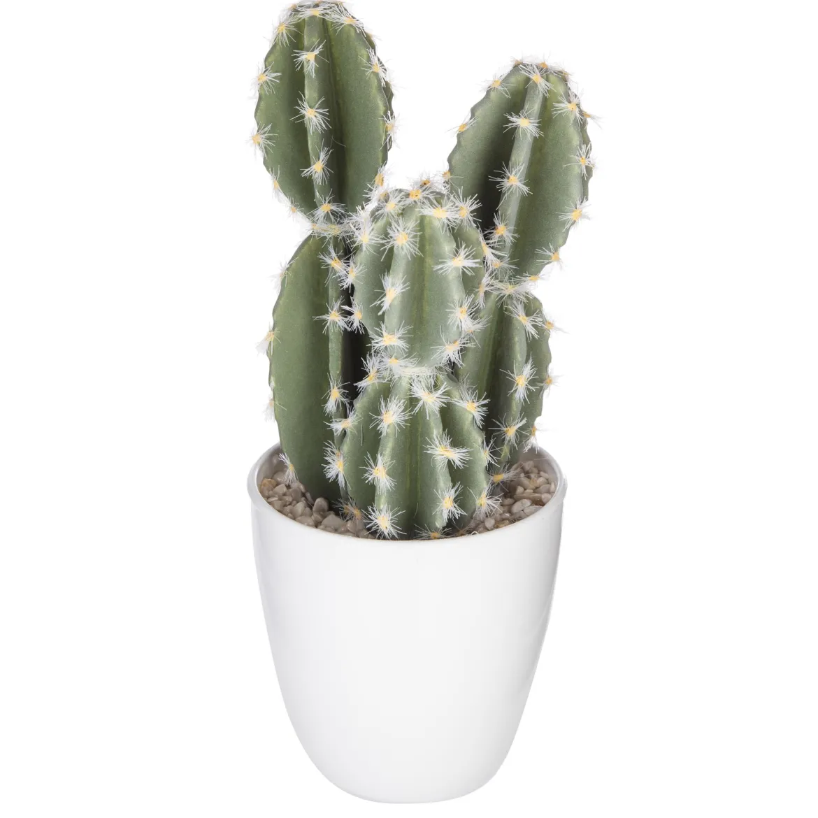 SUCCULENTE CACTUS H.18CM