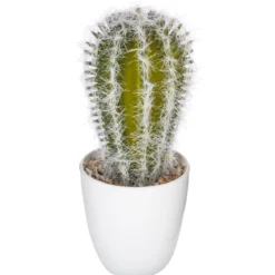 SUCCULENTE CACTUS H.18CM
