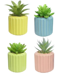 SUCCULENTE POT CERAMIQUE H.11CM