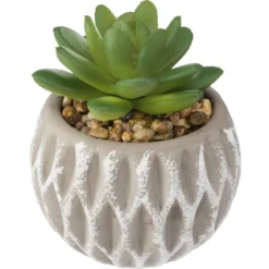 SUCCULENTE POT CIMENT D.8X9CM