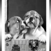 TABLEAU BAGUETTE NOIRE CHIOTS 25X30CM